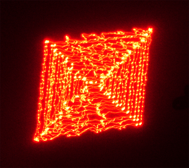 Vertical LASER lines in my office